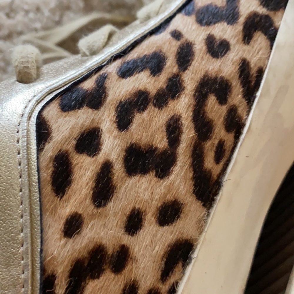 Sam Edelman | Britton 2 Lace Up Leopard Sneakers - Picture 8 of 8